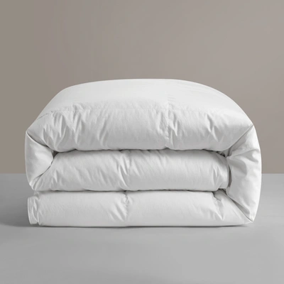 Shop Chic Home Glorianna 1-piece Comforter In White