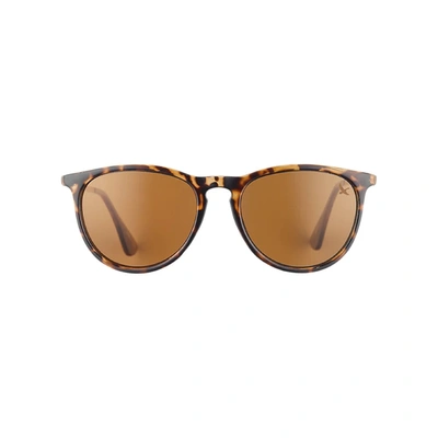 Shop Eddie Bauer Montlake Polarized Sunglasses In Grey