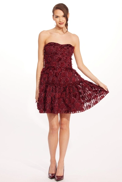 Eva Franco Cossette Dress In Burgundy
