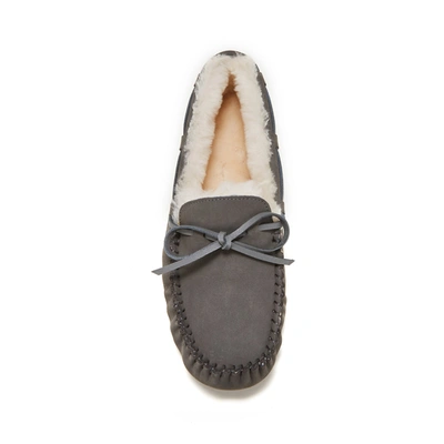 Shop Australia Luxe Collective Prost Gray In Grey