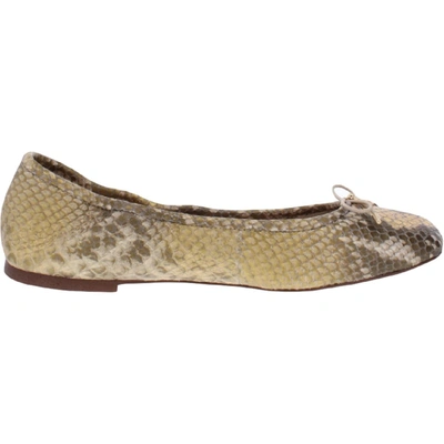 Sam Edelman Felicia Womens Leather Round Toe Ballet Flats In Multi