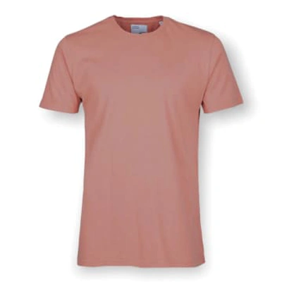 Shop Colorful Standard Classic Tee Rosewood Mist