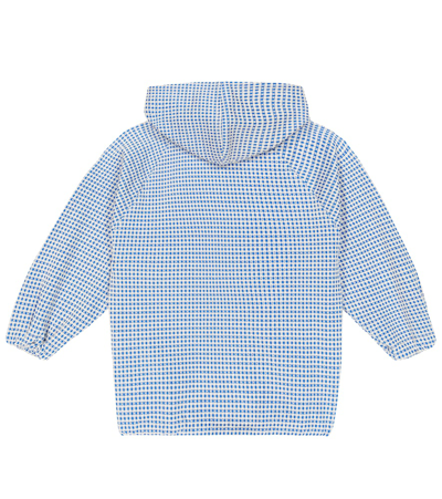 Shop Gucci Web Gingham Hoodie In Blue