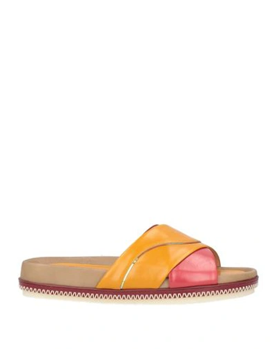 Rodo Woman Sandals Mandarin Size 6 Calfskin, Goat Skin In Mandarin