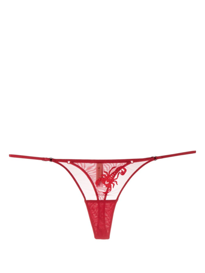 Zhilyova Scorpio-embroidery Tulle Thong In Red
