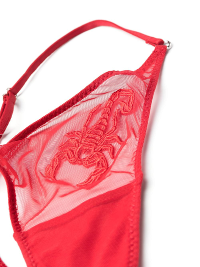 Zhilyova Scorpio-embroidery Tulle Thong In Red