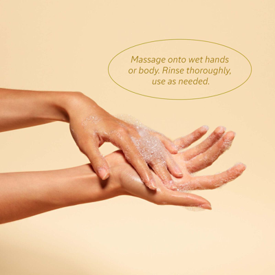 L'occitane - Shea Verbena Hand & Body Liquid Soap Refill 16.9 Fl oz