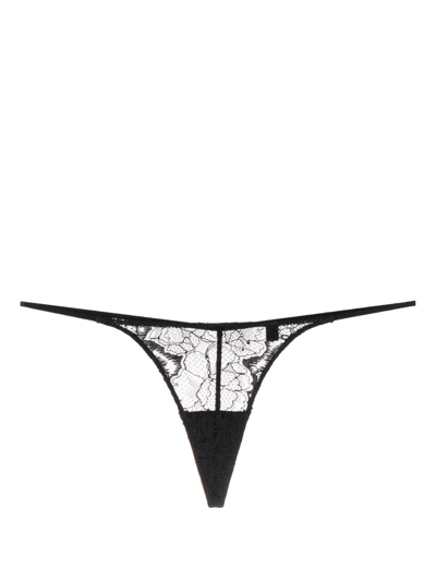 Zhilyova Tara Floral-lace Thong In Black