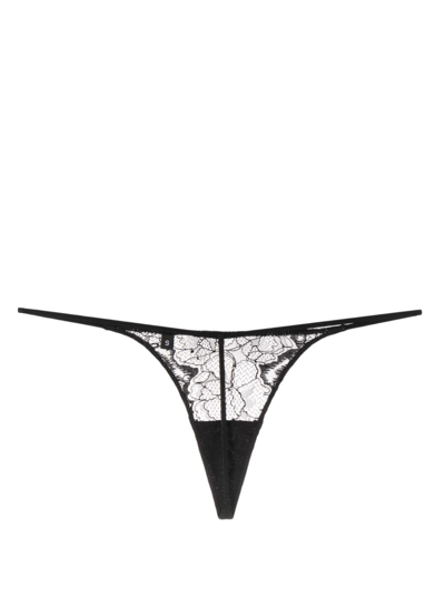 Zhilyova Tara Floral-lace Thong In Black