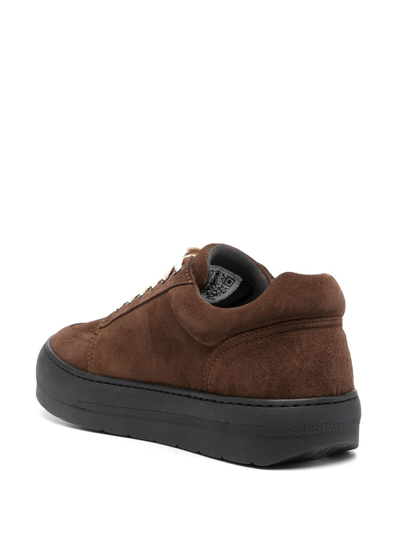 Shop Sunnei Dreamy Lace-up Suede Sneakers In Brown