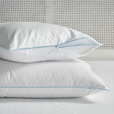 Frontgate Set Of 2 Pillow Protectors