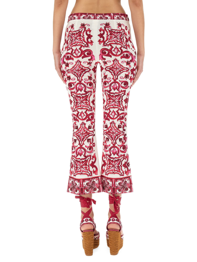 Dolce & Gabbana Majolica Print Charmeuse Pants In Fucsia