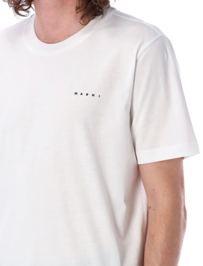 Shop Marni Mini Logo T-shirt In White