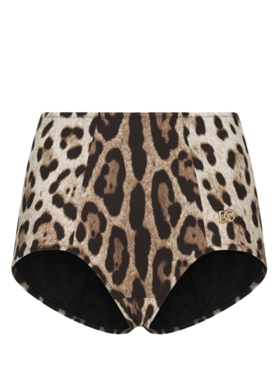 Shop Dolce & Gabbana Leopard-print High-waisted Bikini Bottom In Brown