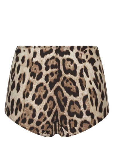 Shop Dolce & Gabbana Leopard-print High-waisted Bikini Bottom In Brown
