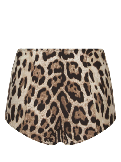 Dolce & Gabbana Leopard-print High-waisted Bikini Bottom In Brown