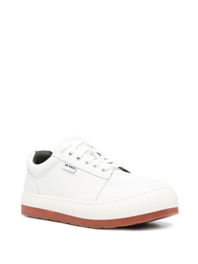 Shop Sunnei Dreamy Lace-up Sneakers In White