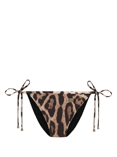 Shop Dolce & Gabbana Leopard-print Bikini Bottom In Brown