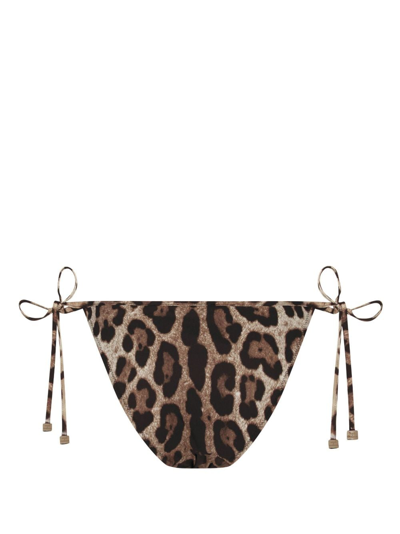 Shop Dolce & Gabbana Leopard-print Bikini Bottom In Brown