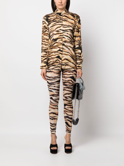 Shop Roberto Cavalli Tiger-print High-waisted Leggings In Neutrals