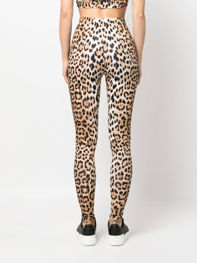 Shop Roberto Cavalli Leopard-print High-waisted Leggings In Neutrals