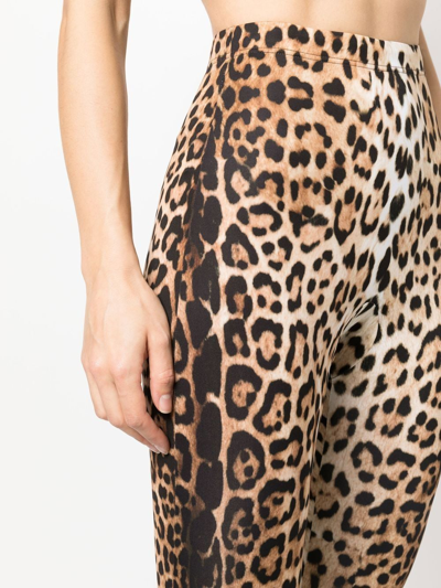 Shop Roberto Cavalli Leopard-print High-waisted Leggings In Neutrals