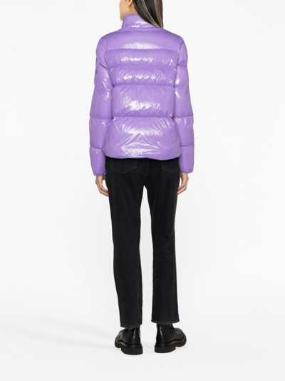 Shop Pinko Quilted Zipped Puffer Jacket In Purple