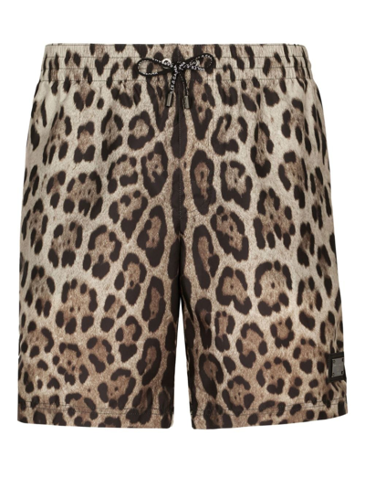 Shop Dolce & Gabbana Leopard-print Swim Shorts In Neutrals