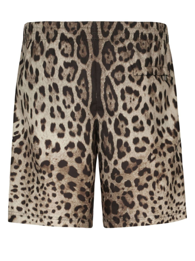 Shop Dolce & Gabbana Leopard-print Swim Shorts In Neutrals