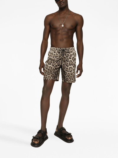 Shop Dolce & Gabbana Leopard-print Swim Shorts In Neutrals