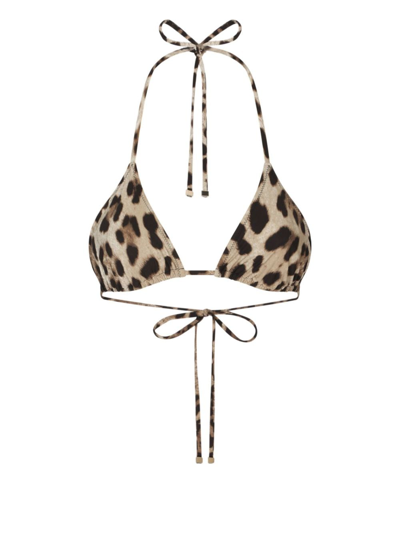 Shop Dolce & Gabbana Leopard-print Triangle-cup Bikini Top In Neutrals