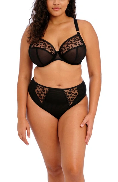 Shop Elomi Namrah Underwire Plunge Bra In Jet