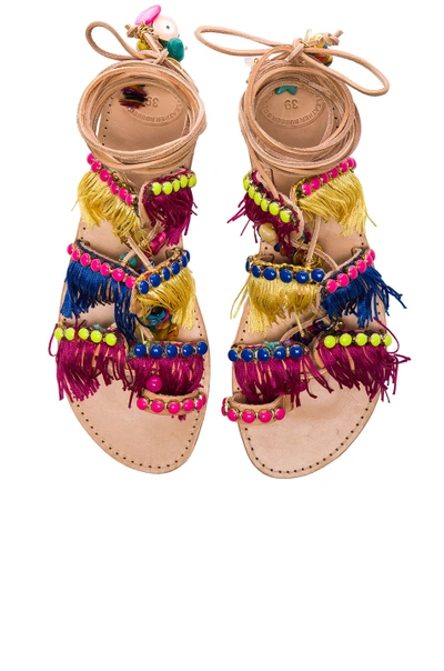 Elina Linardaki Tahiti Fringed Leather Lace-up Sandals In Multi