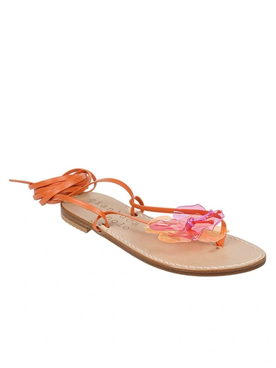 Shop Gianluca Capannolo Sandals In Orange