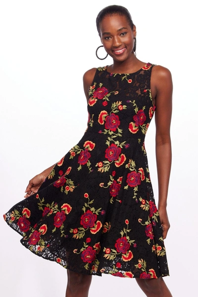 Shop Eva Franco Mirabele Dress - Gypsy Rose In Multi