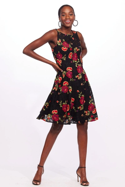 Shop Eva Franco Mirabele Dress - Gypsy Rose In Multi