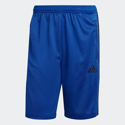 Shop Adidas Originals Men's Adidas Designed 2 Move 3-stripes Primeblue Shorts In Blue