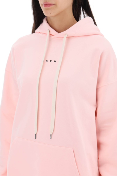Shop Marni Hoodie With Logo Print In Pink Gummy (pink)