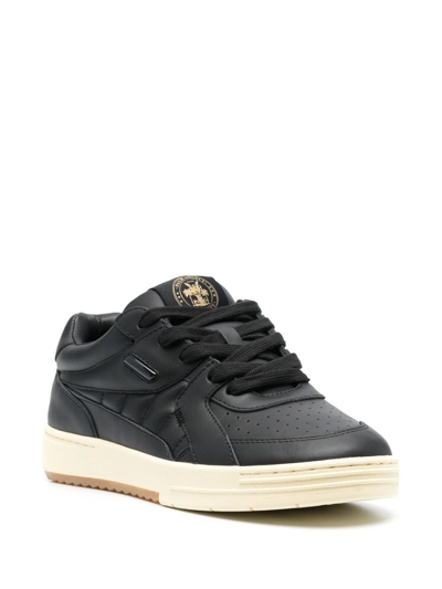 Shop Palm Angels University Quilted Leather Sneakers In Black