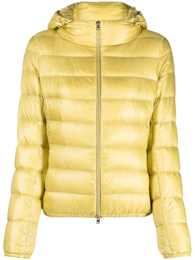 Herno Bicolor Polyamide Full-length Jacket In Yellow