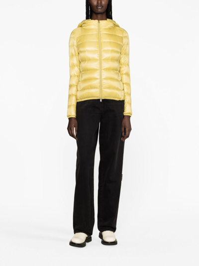 Herno Bicolor Polyamide Full-length Jacket In Yellow