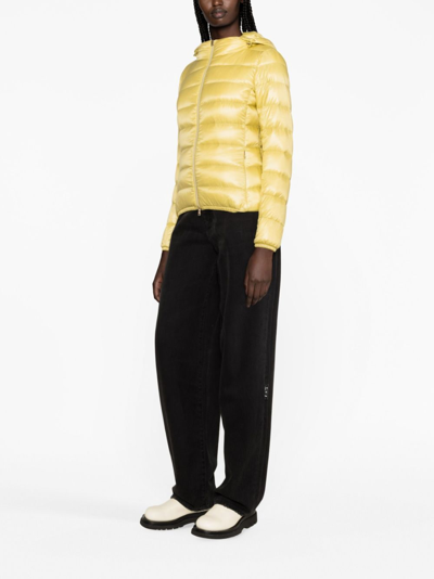 Herno Bicolor Polyamide Full-length Jacket In Yellow