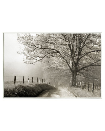 STUPELL RURAL SCENERY FENCED PATH WALL PLAQUE WALL ART BY DANITA DELIMONT 