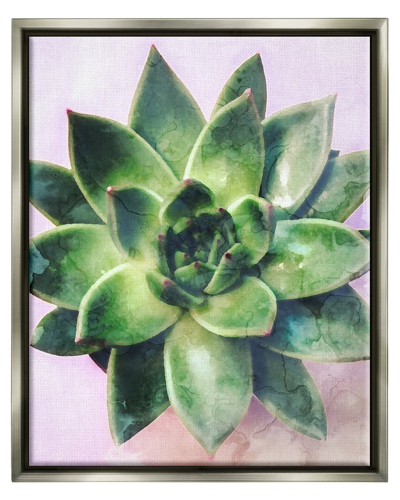 Shop Stupell Round Succulent Plant Leaves Framed Floater Canvas Wall Art By Daphne Polselli