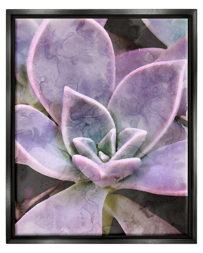Stupell Purple Succulent Close Up Framed Floater Canvas Wall Art By Daphne Polselli