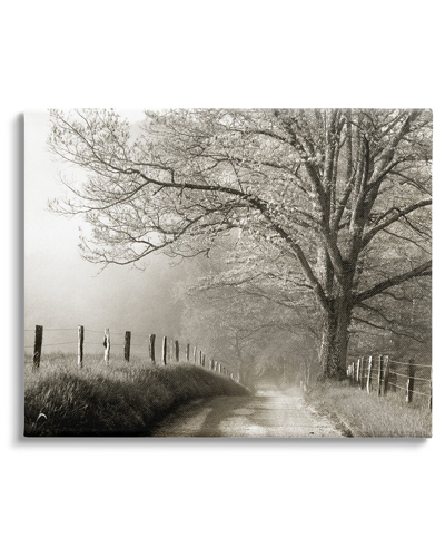 Shop Stupell Rural Scenery Fenced Path Canvas Wall Art By Danita Delimont
