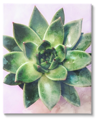 Shop Stupell Round Succulent Plant Leaves Canvas Wall Art By Daphne Polselli