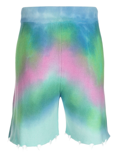 Laneus Bermuda Shorts In Multicolour