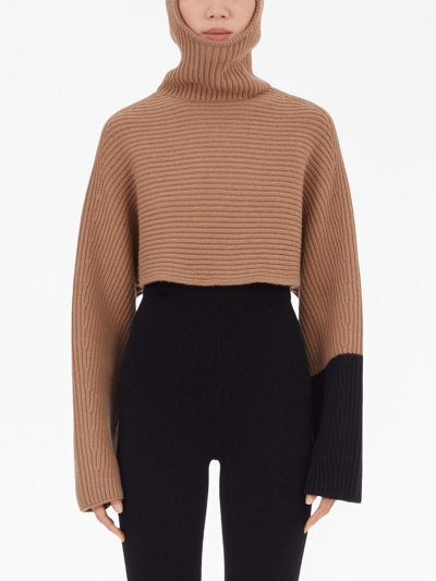 Shop Ferragamo Colour-block Ribbed Jumper In Nude