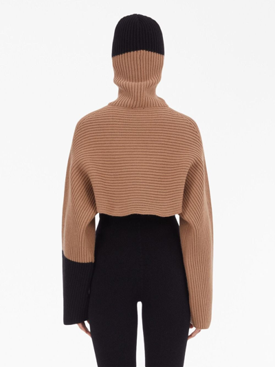 Ferragamo Colour-block Ribbed Jumper In Nude